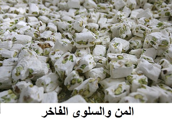 زيت وزيتون مكبوس ومخللات وزعتر وجبنة أغنام وحلويات ومكسرات