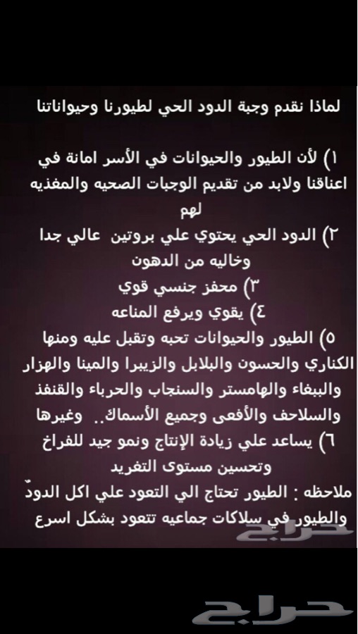 للبيع دود قبابي حي لجميع انواع الطيور والاسماك والزواحف