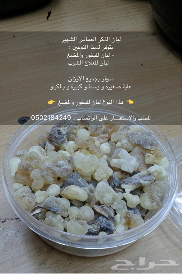 اللبان العماني دواء للجسم ومنقي للهواء