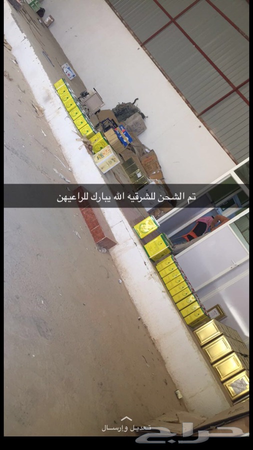 زيت زيتون الجوف جديد