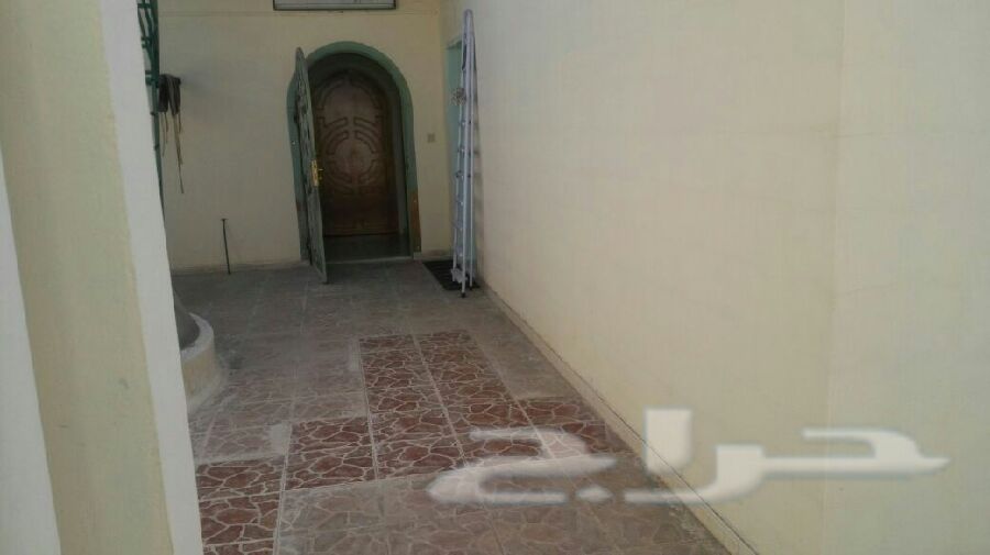لا تفوتك شقة بالسطح للايجار